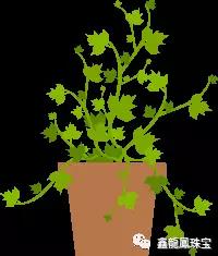 1507856836686830.jpg 2.jpg